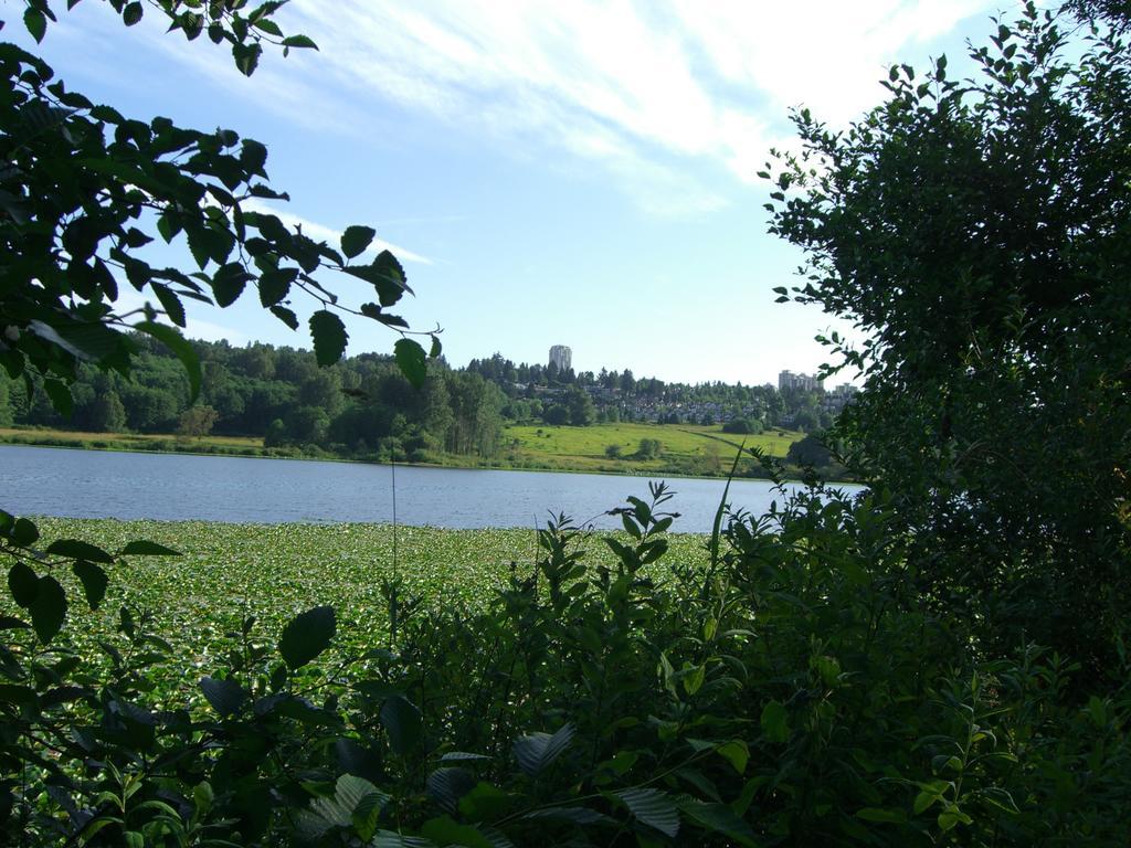 Burris Guest House Burnaby Bagian luar foto